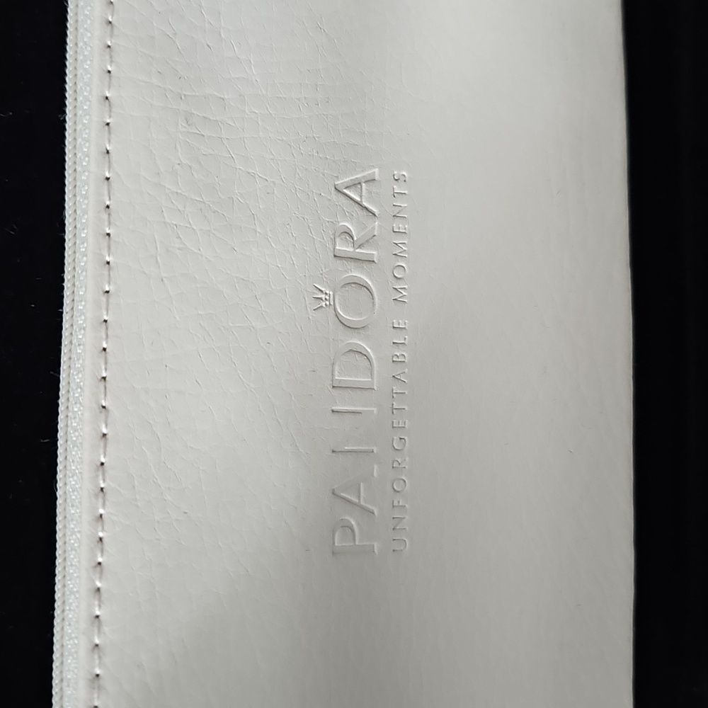 Pandora Makeup/Jewelry Case - Picture 6 of 11